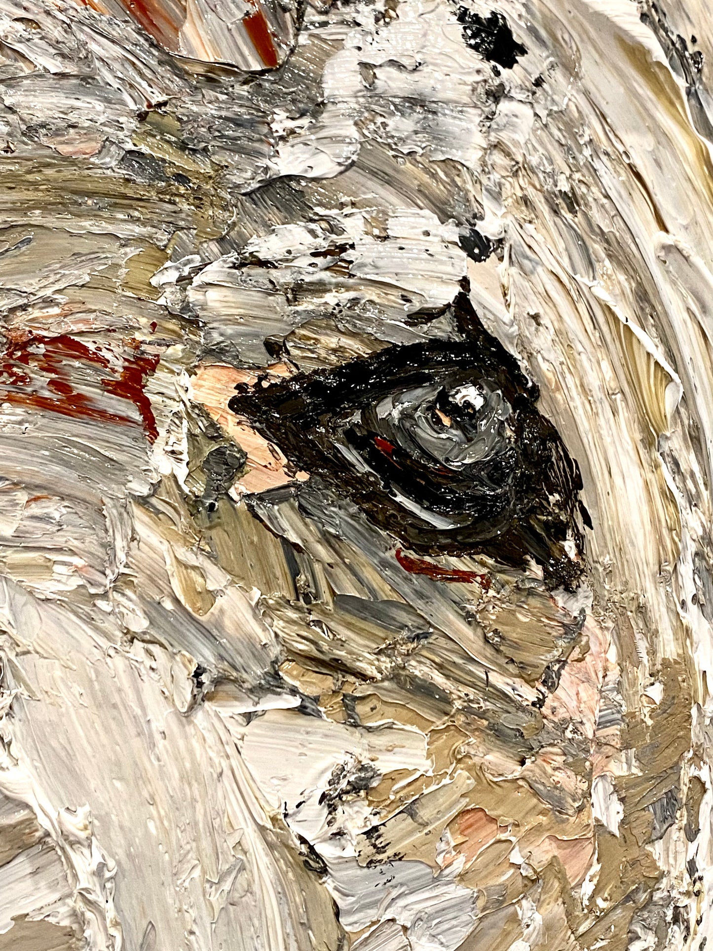 ‘SPIRIT ANIMAL” - 36”x36”